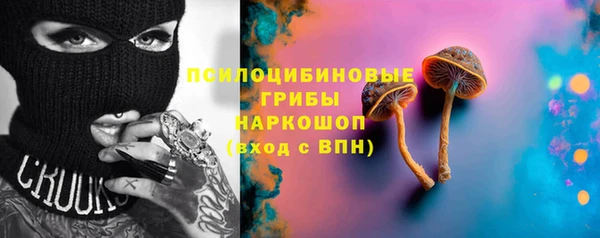 ПСИЛОЦИБИНОВЫЕ ГРИБЫ Верея