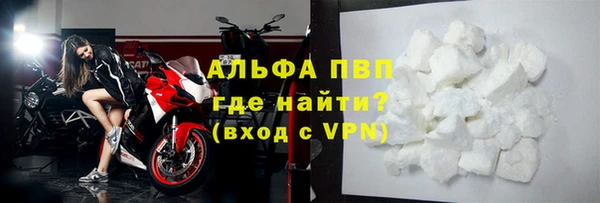 ПСИЛОЦИБИНОВЫЕ ГРИБЫ Верея