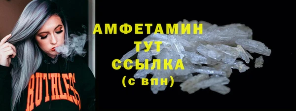 ПСИЛОЦИБИНОВЫЕ ГРИБЫ Верея