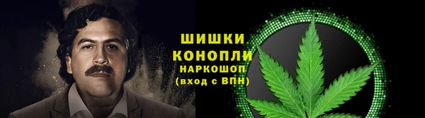 ПСИЛОЦИБИНОВЫЕ ГРИБЫ Верея