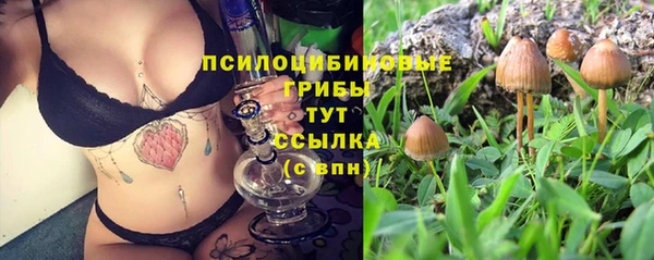 эйфоретик Верхний Тагил