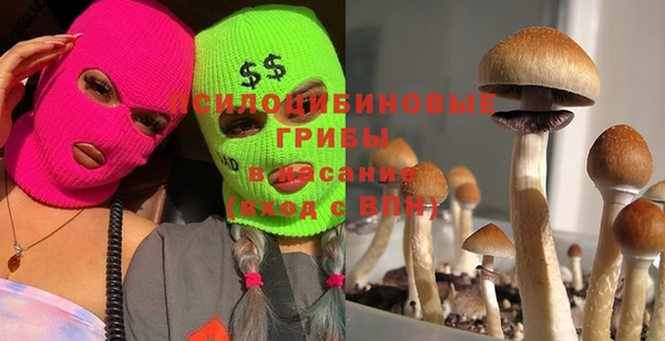 эйфоретик Верхний Тагил
