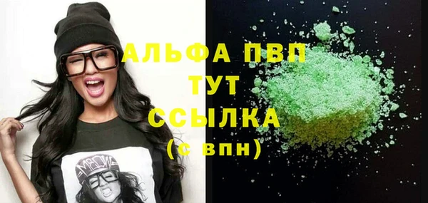 ПСИЛОЦИБИНОВЫЕ ГРИБЫ Верея