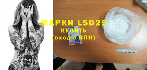 ПСИЛОЦИБИНОВЫЕ ГРИБЫ Верея